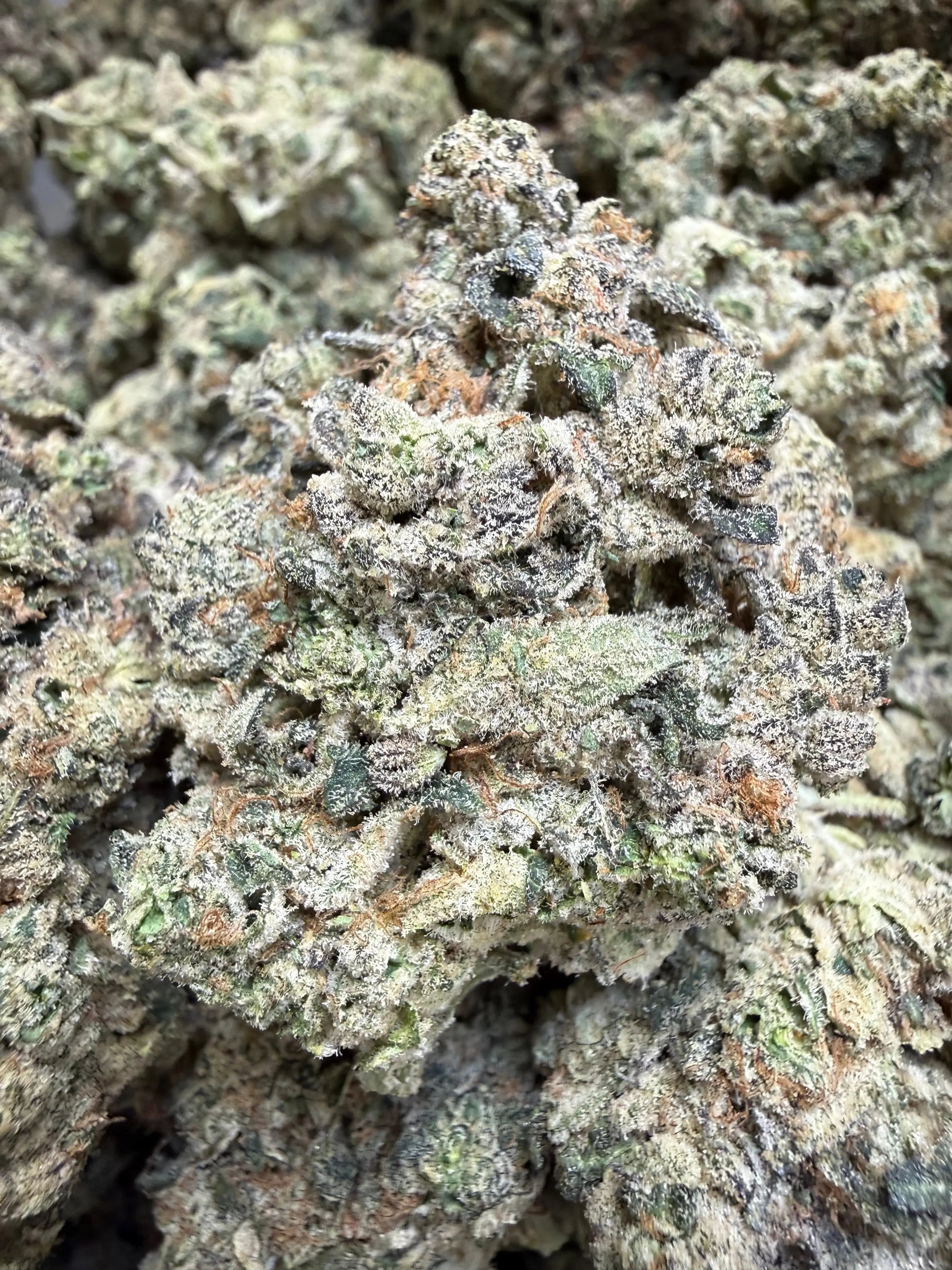 Indoor Exotic - 1 Pound - Sherb Popz THCA Strain Frisco Labs