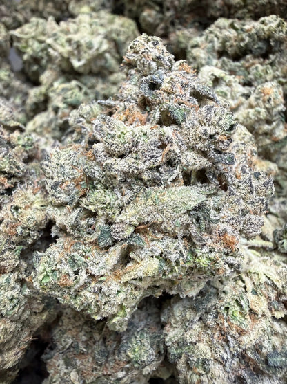 Indoor Exotic - 1 Pound - Sherb Popz THCA Strain Frisco Labs