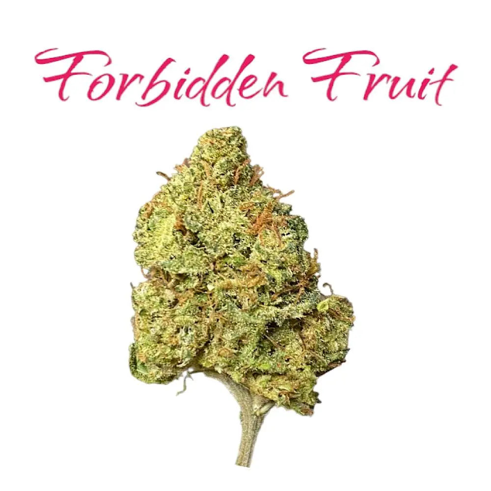 Indoor Forbidden Fruit
