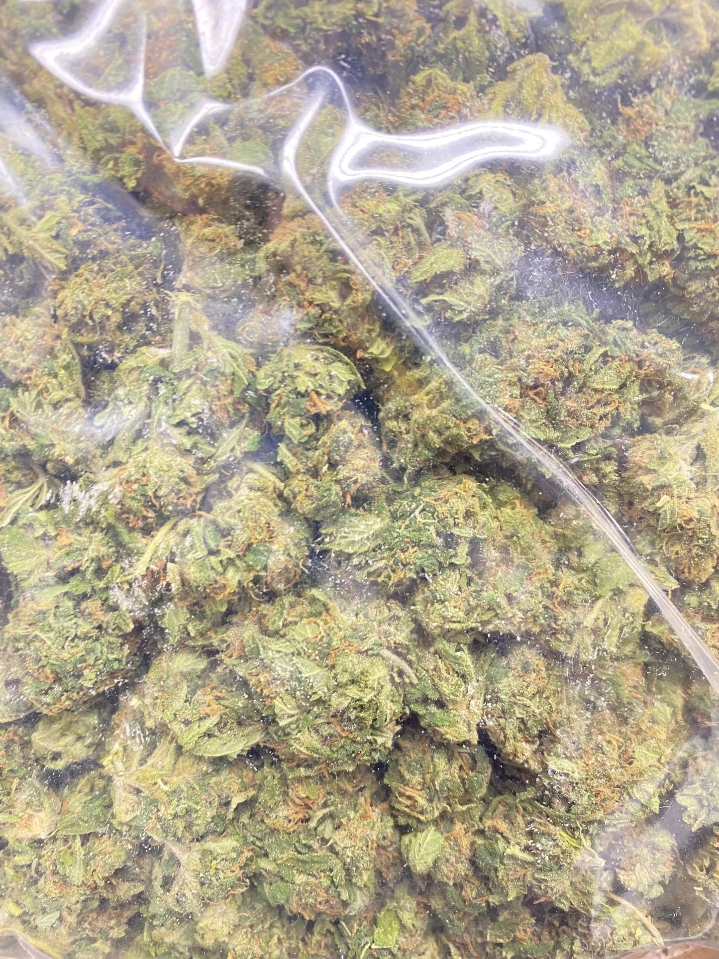 Indoor Jet fuel THCa Flower Frisco Labs