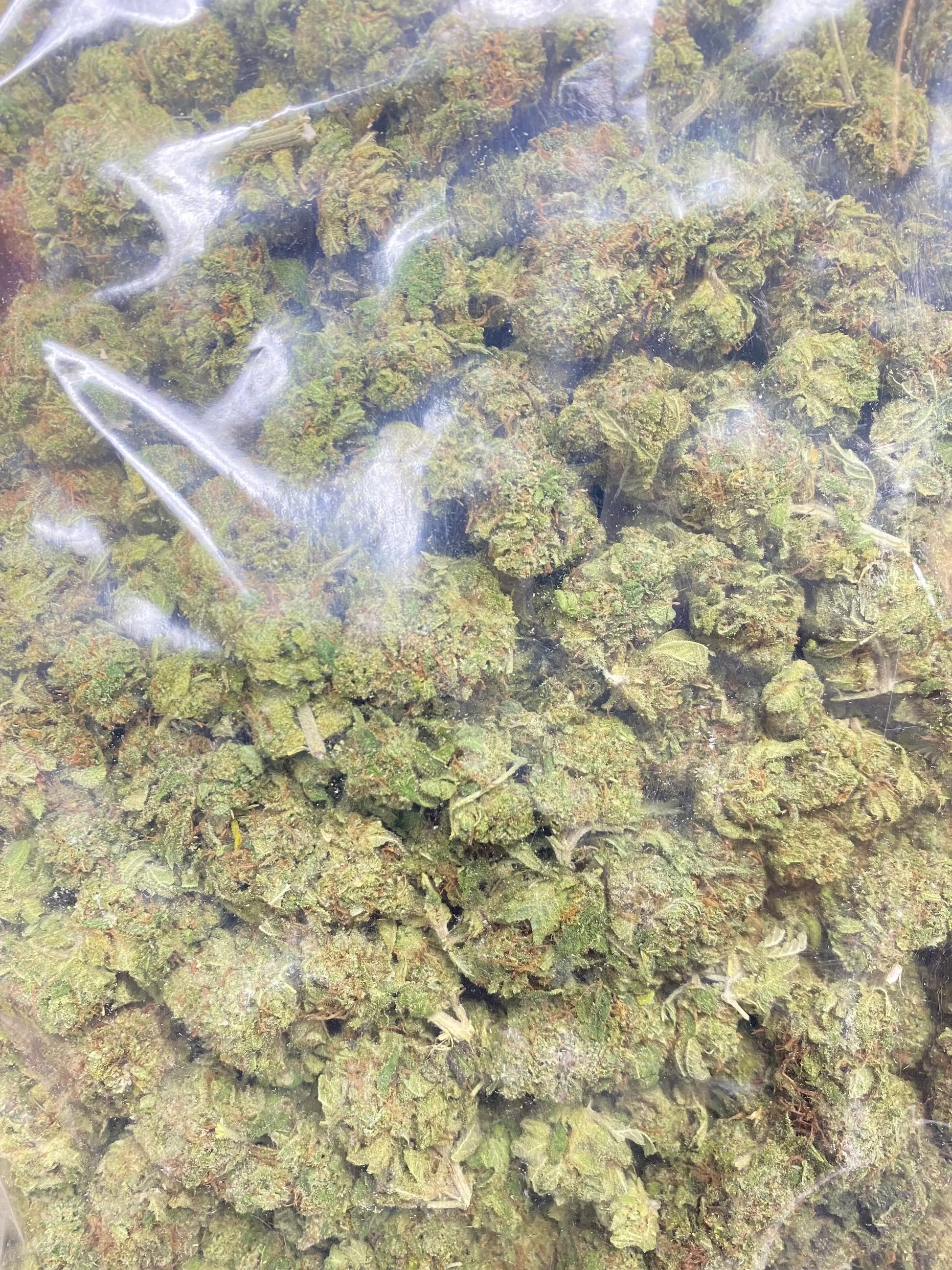 Indoor Lava Cake THCa Flower Frisco Labs