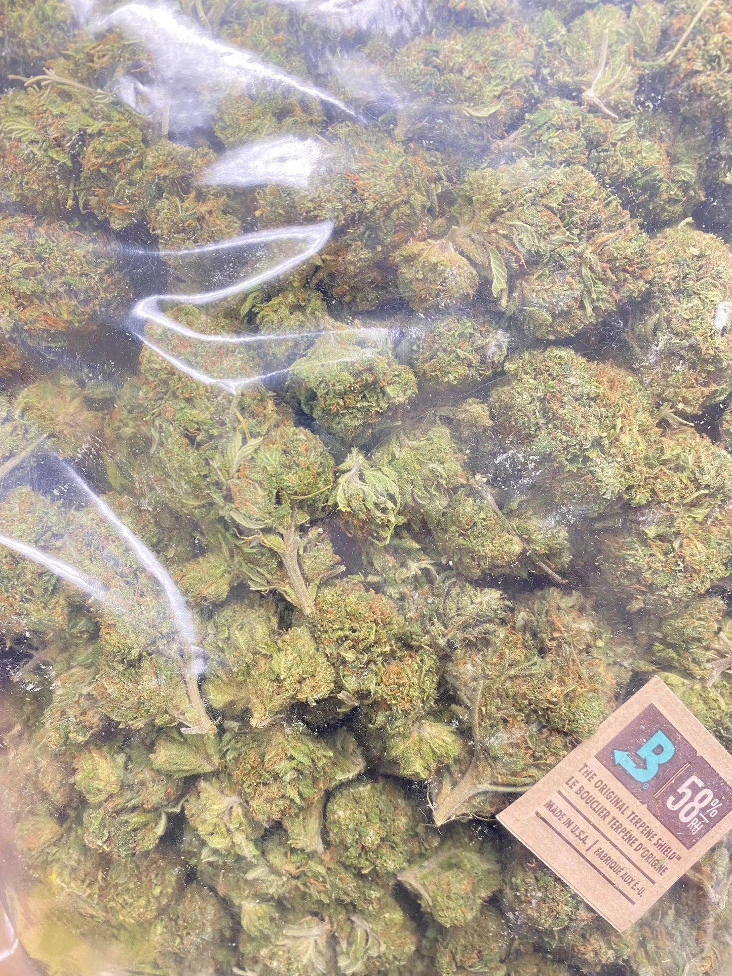 Indoor Venom OG THCa Flower Frisco Labs