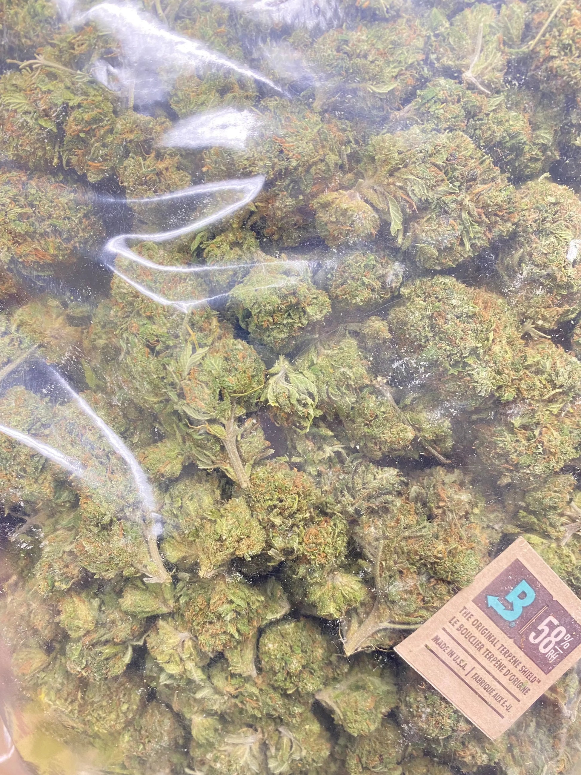 Indoor Venom OG THCa Flower Frisco Labs