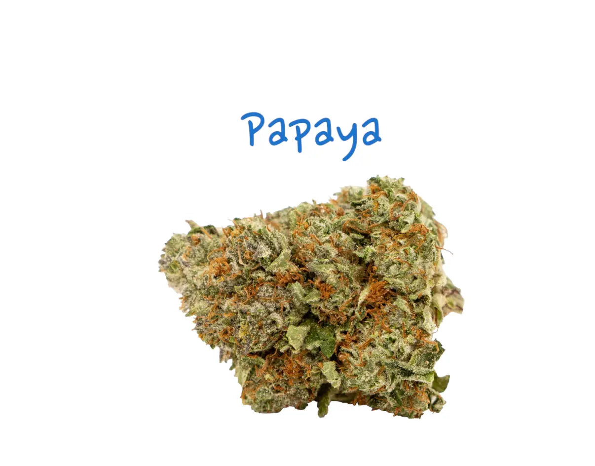 Papaya THCa Flower - Frisco Labs