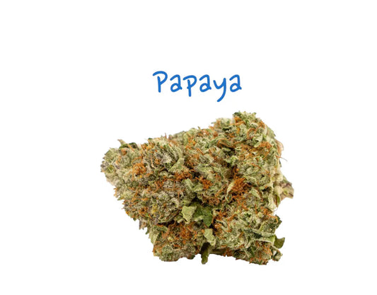 Papaya THCa Flower - Frisco Labs