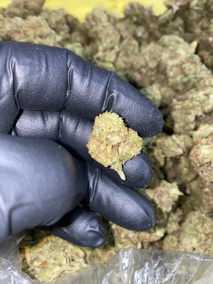 Zereal Milk THCA - Frisco Labs