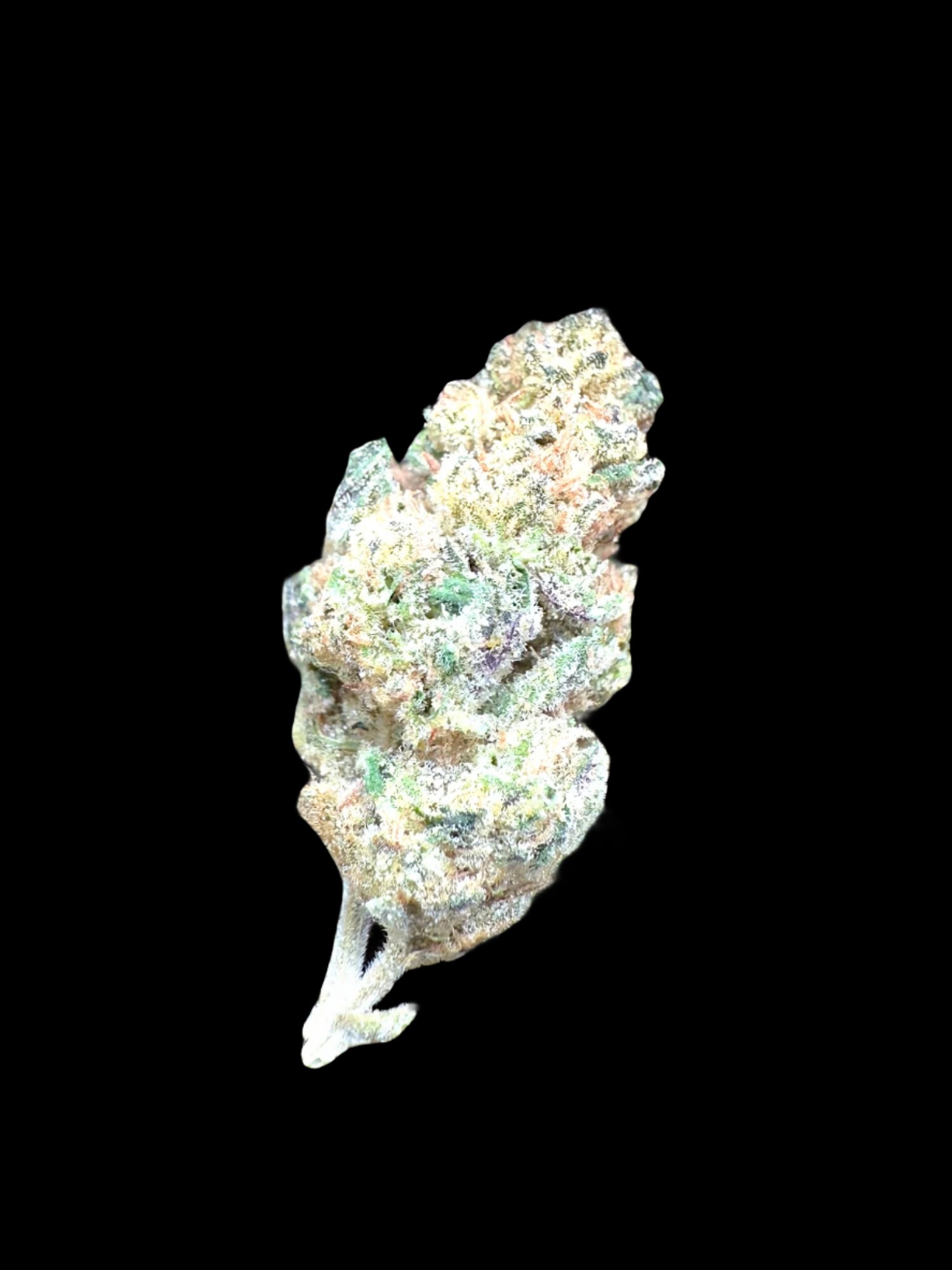 AAA Indoor Exotic - Grape Gas THCA Strain 