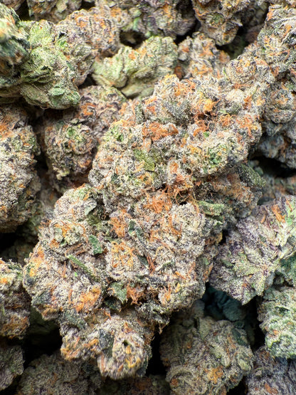 1 Pound – AAA Gas Face | Indoor THCA Flower | Loud & Gassy | 28%+ THCA FL Fulfillment Center