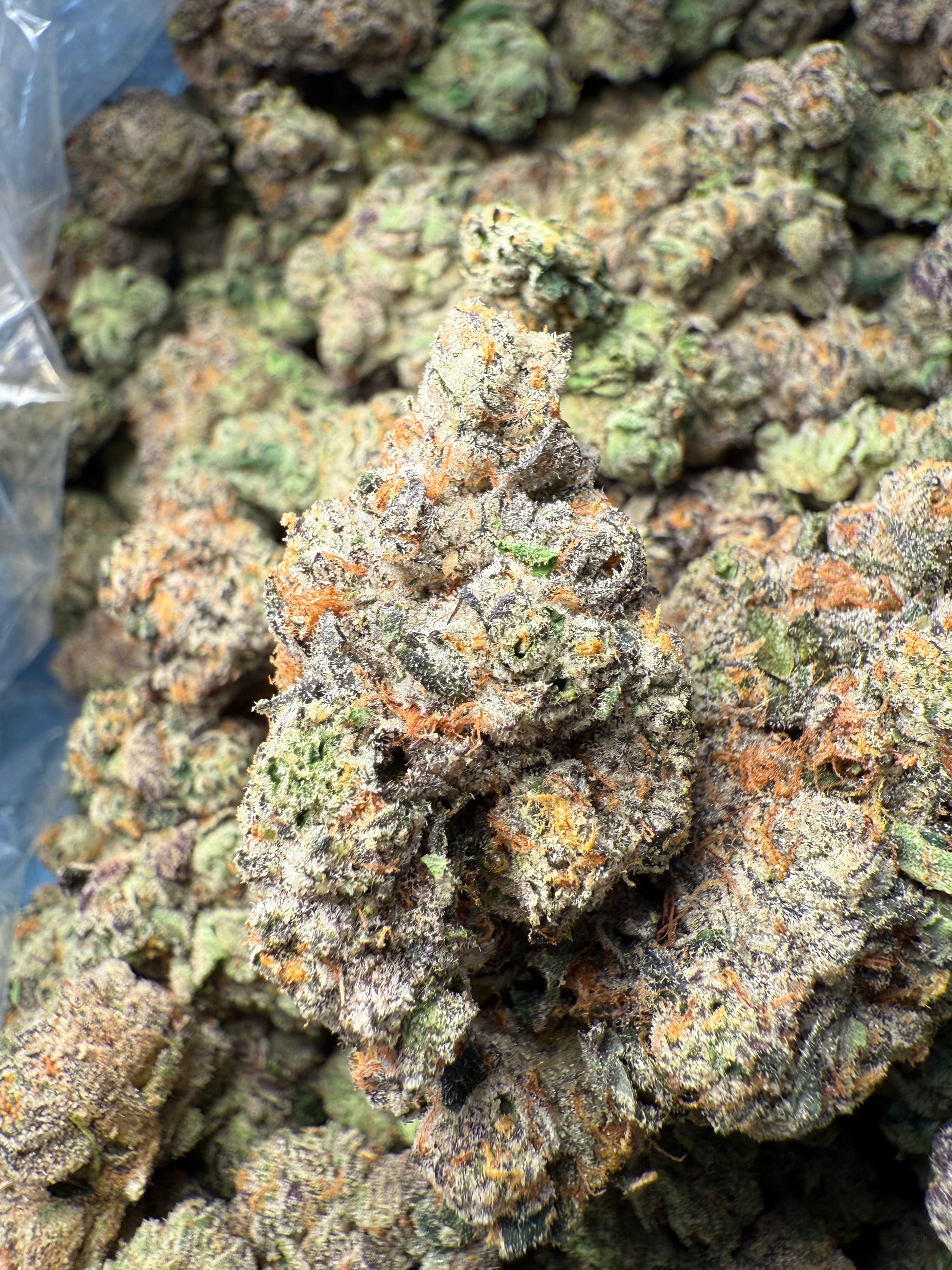 1 Pound – AAA Gas Face | Indoor THCA Flower | Loud & Gassy | 28%+ THCA FL Fulfillment Center