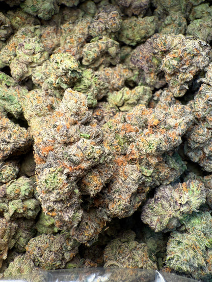 1 Pound – AAA Gas Face | Indoor THCA Flower | Loud & Gassy | 28%+ THCA FL Fulfillment Center