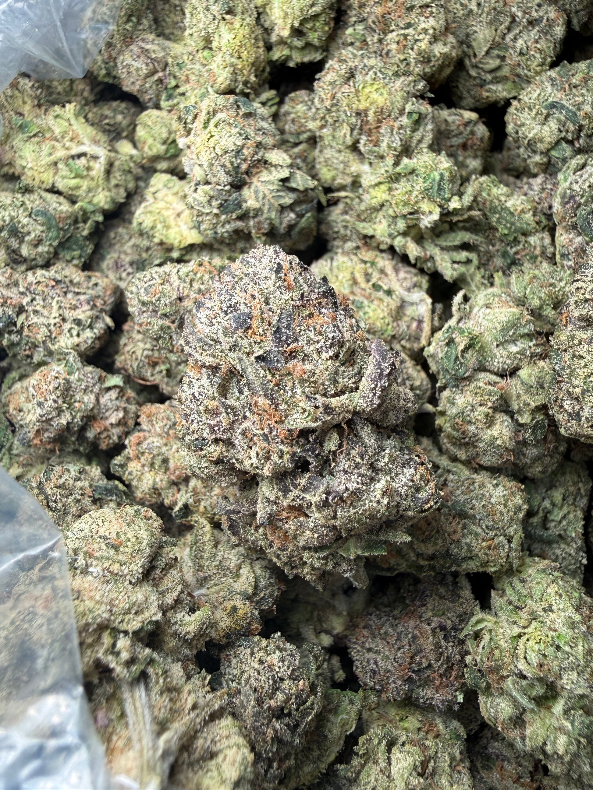 🔥 ⅛ oz – Candy Rain (Indoor) FL Fulfillment Center