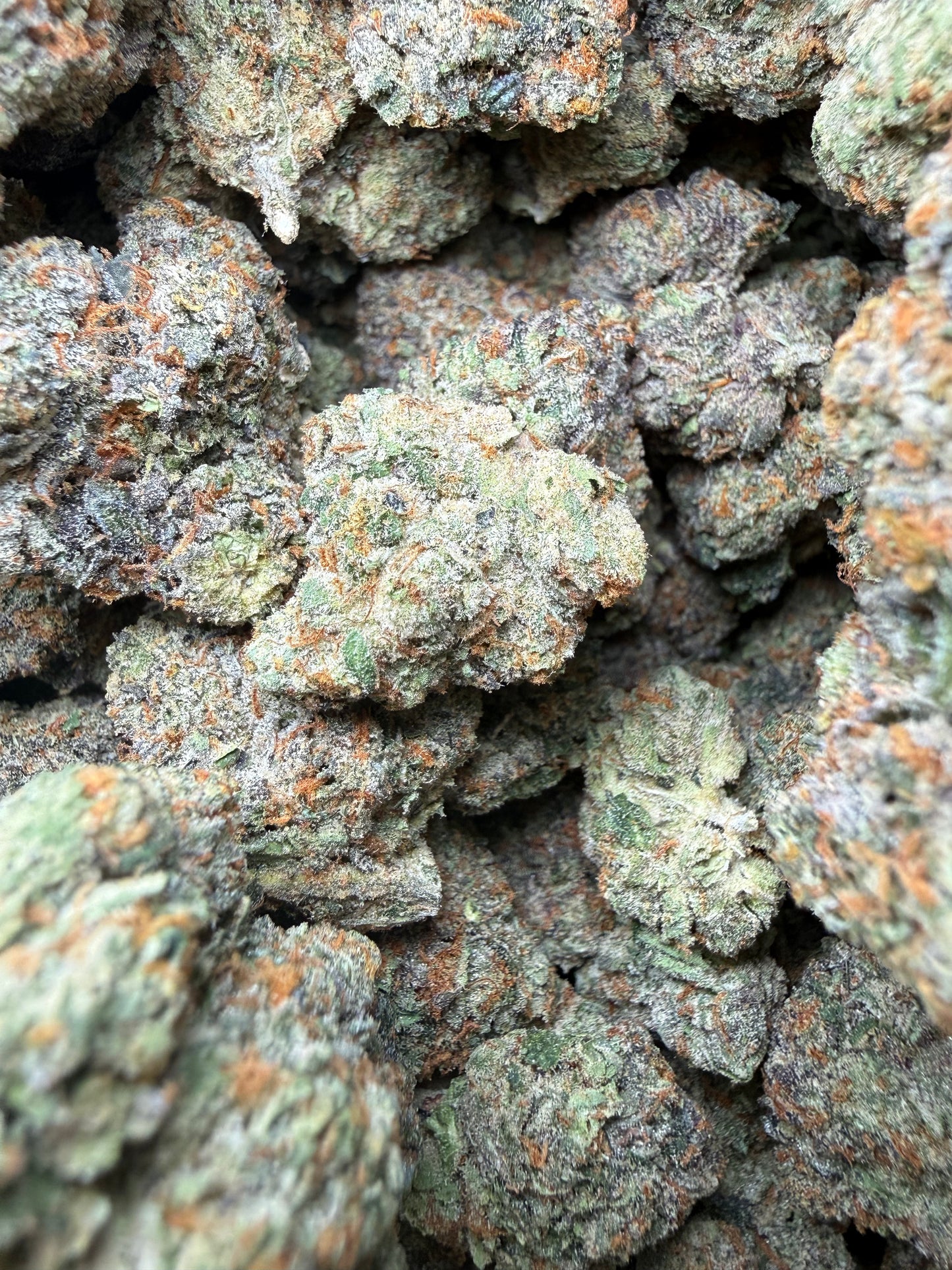 🔥 ⅛ oz – Gelato #41 THCA (Indoor) FL Fulfillment Center