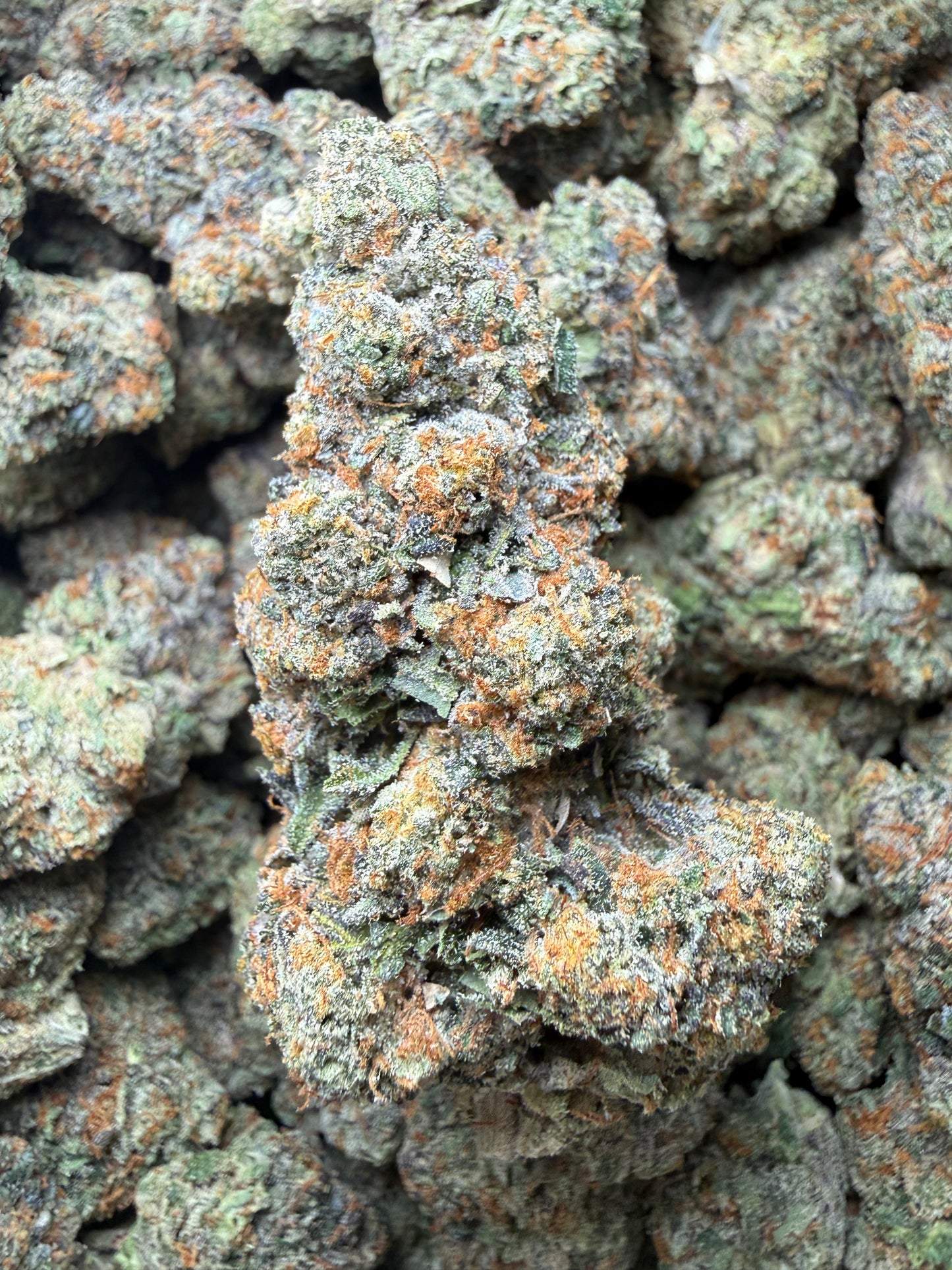 🔥 ⅛ oz – Gelato #41 THCA (Indoor) FL Fulfillment Center
