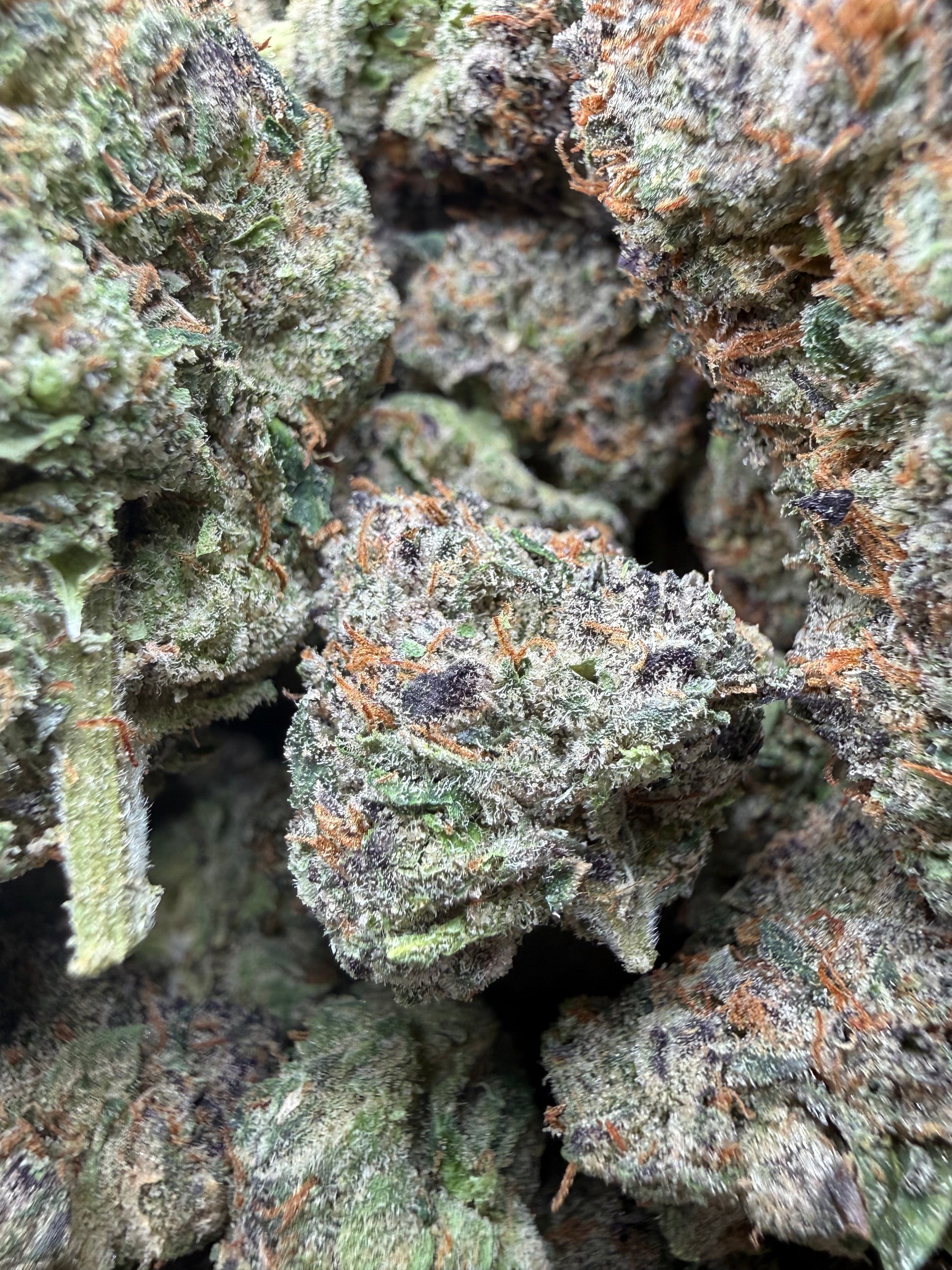 🔥 ⅛ oz – Gelato Bird #33 (Indoor) FL Fulfillment Center