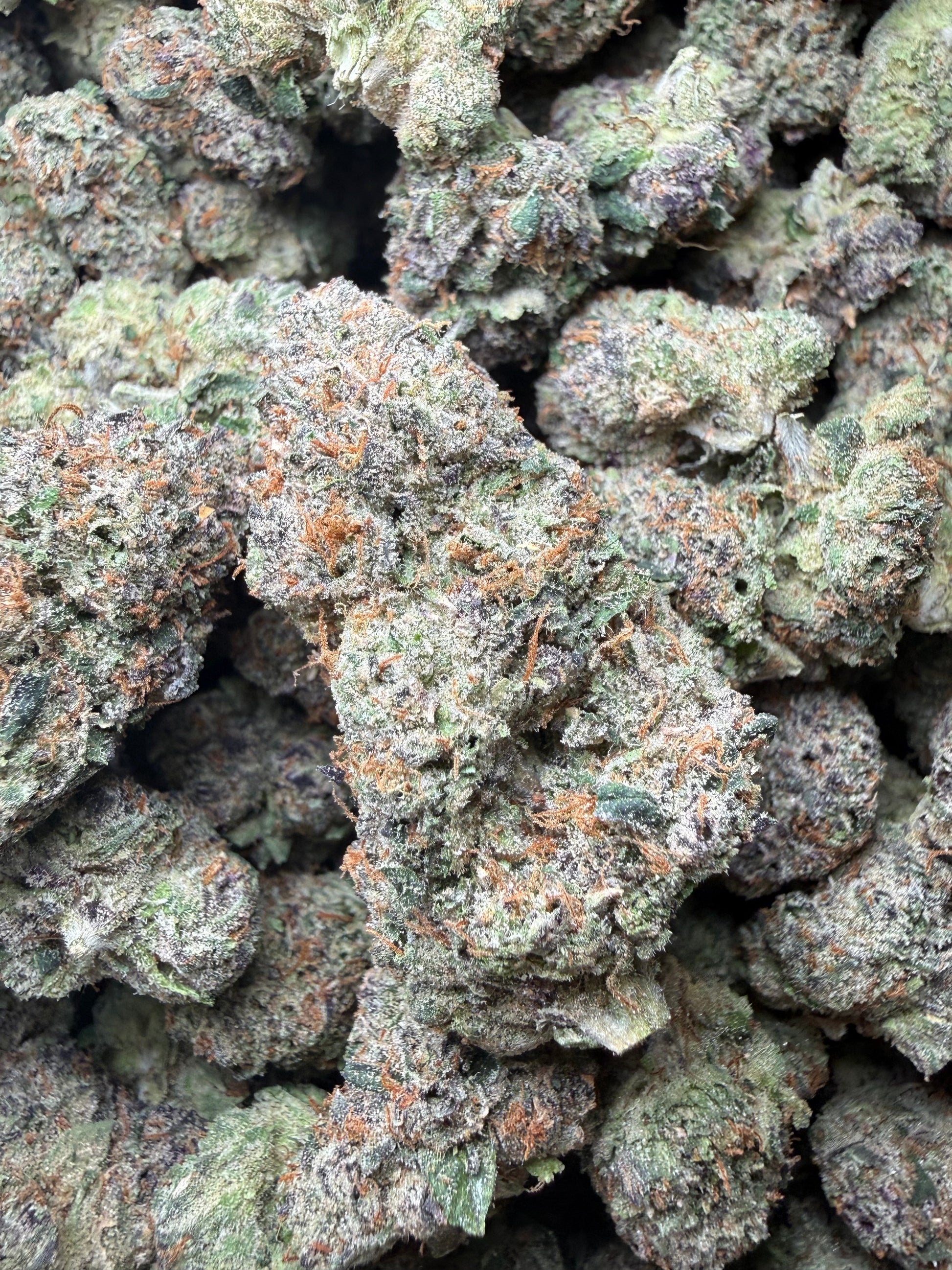 🔥 ⅛ oz – Gelato Bird #33 (Indoor) FL Fulfillment Center