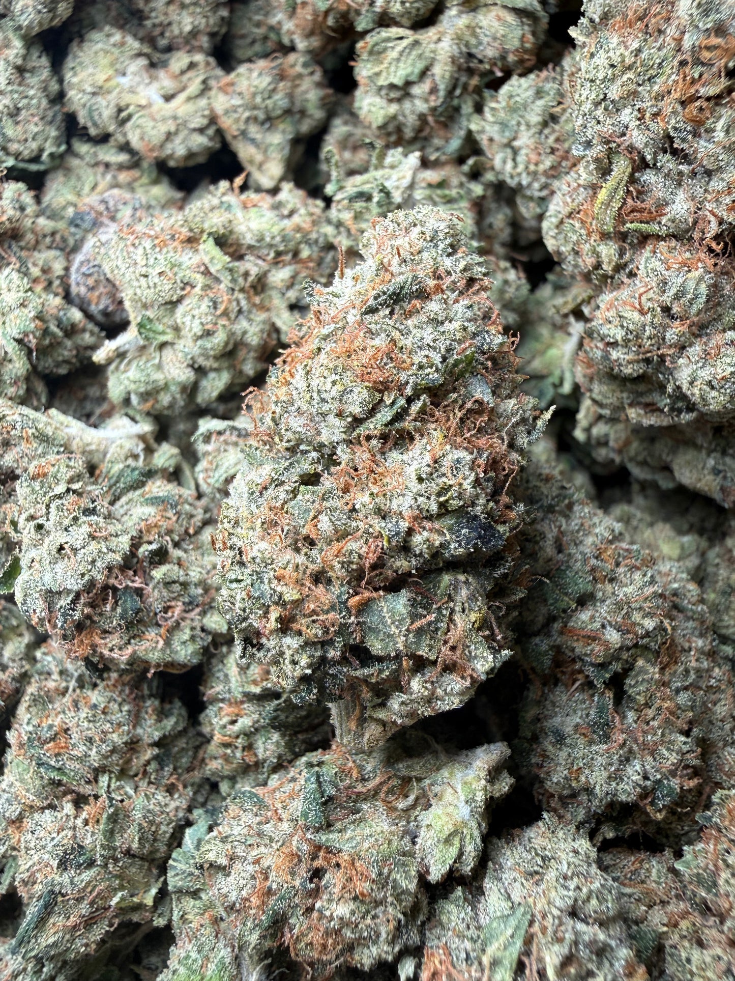 🔥 ⅛ oz – LA Confidential THCA (Indoor) FL Fulfillment Center