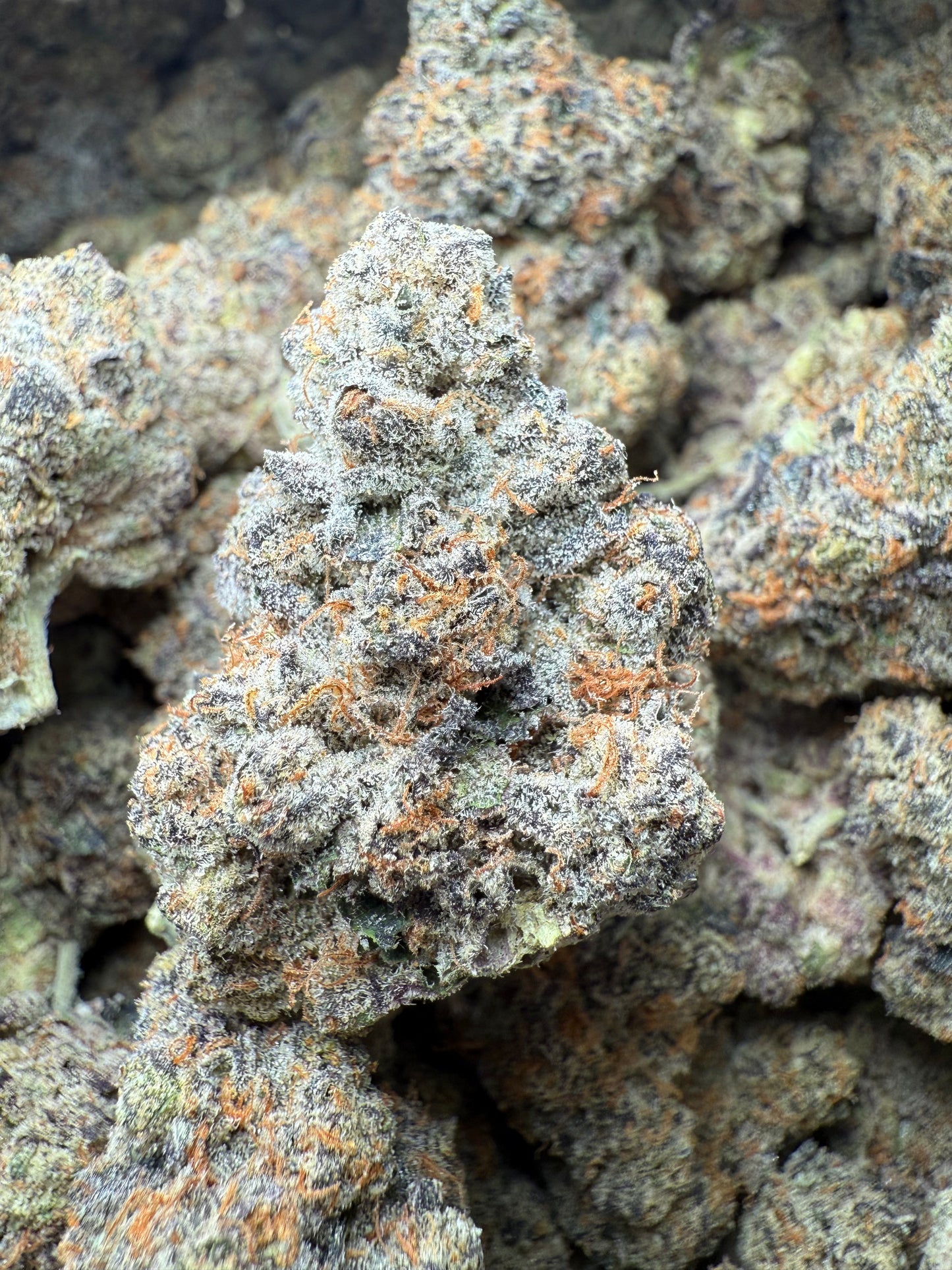 🔥 ⅛ oz – Carbon Fiber (Indoor) FL Fulfillment Center