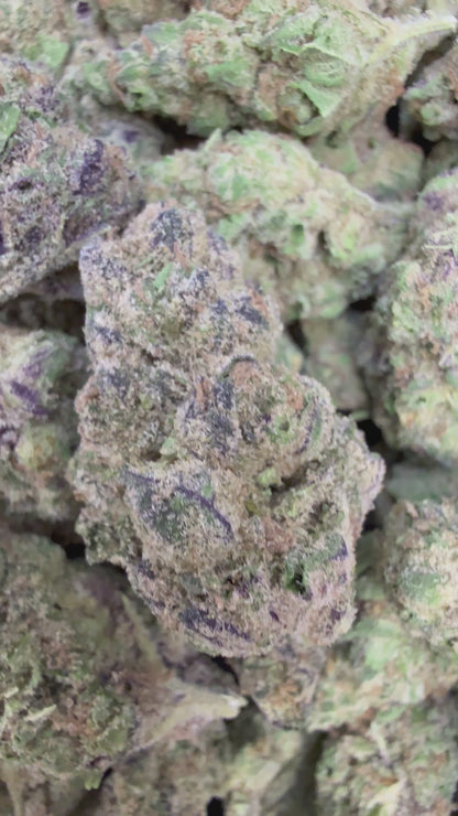 1 Pound - Purple Rocket Popz THCA Flower