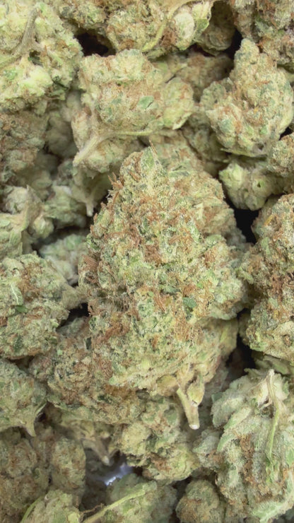 1 Pound - Disco Glitter THCA Flower