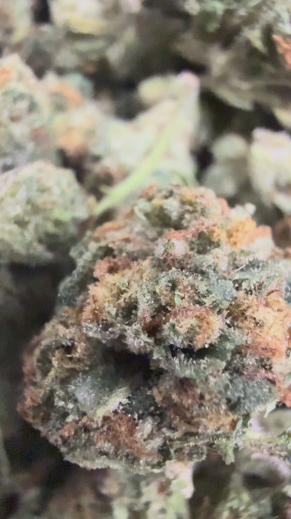 1 Pound - TROPICAL RUNTZ THCA Flower (SMALL)