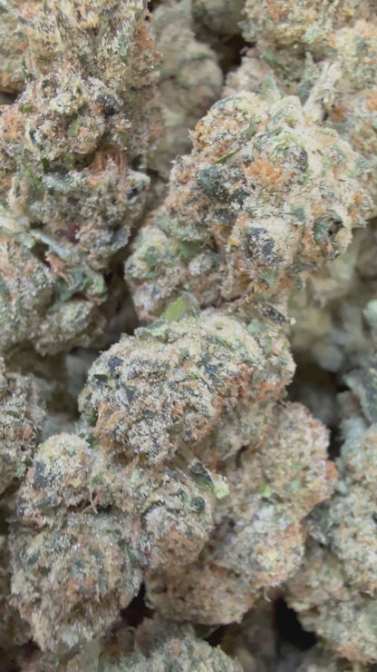 1 Pound - Cotton Candy Cookies THCA Flower
