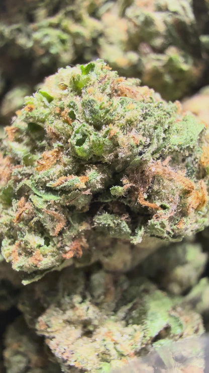1 Pound - GELATO RUNTZ THCA Flower (SMALL)