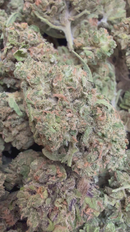 1 Pound - Don Supreme THCA Flower