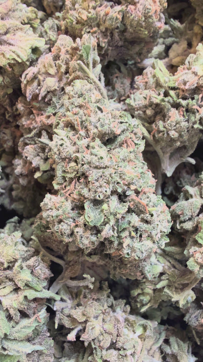 1 Pound - Sweet Baby Jesus THCA Flower