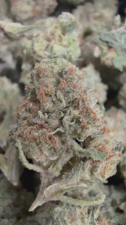 1 Pound - PAPAYA SMOOTHIE THCA Flower (SMALL)