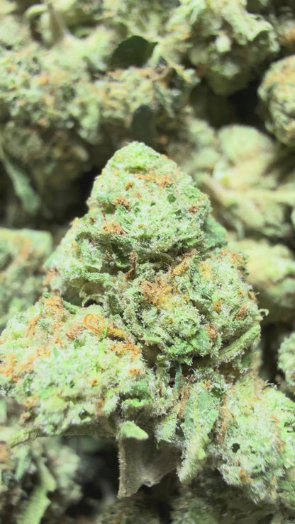1 Pound - BACIO GELATO THCA Flower (SMALL)