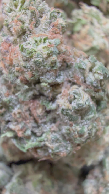 1 Pound - Peanut Butter Breath THCA Flower