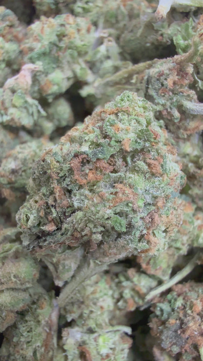 1 Pound - CITRUS GELATO THCA Flower (SMALL)
