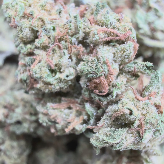 modified bananas thca flower bulk