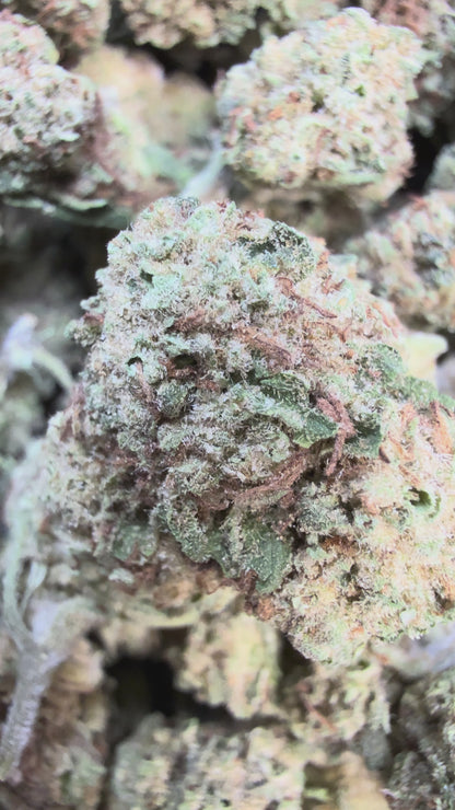 1 Pound - Permanent Chimera THCA Flower (Smalls)