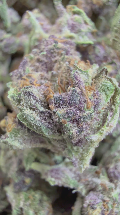 1 Pound - TROP CHERRY THCA Flower (SMALL)