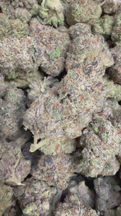 1 Pound - Purple Urkle THCA Flower