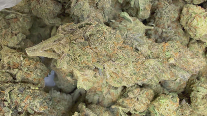 1 Pound - Sunset Sherbet THCA Flower