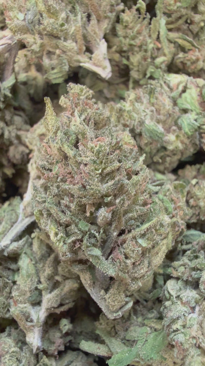 1 Pound - Blueberry X Blue Dream THCA Flower