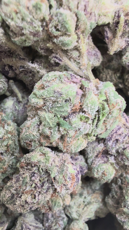 1 Pound - Royal Runtz THCA Flower