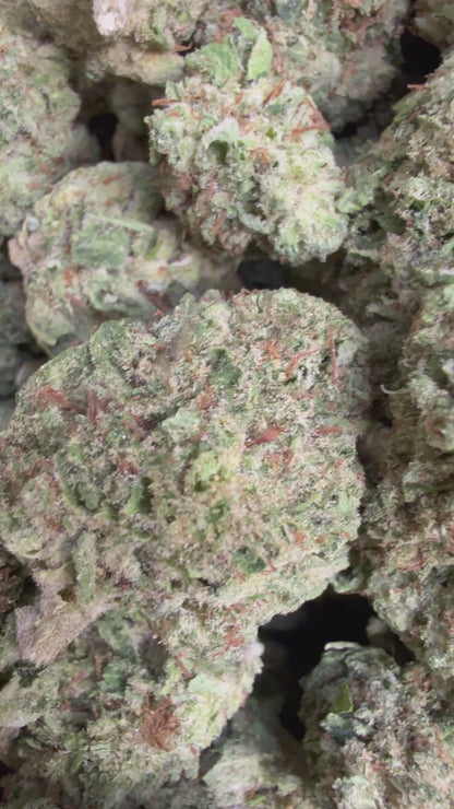 1 Pound - Afghan Lemon OG THCA Flower