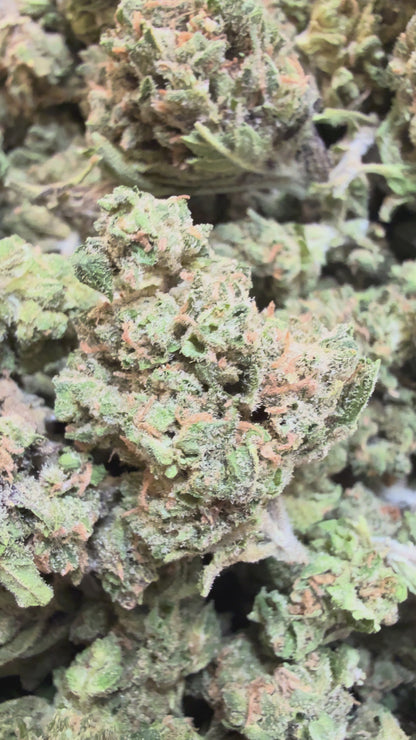 1 Pound - Bubble Bath THCA Flower (Smalls)