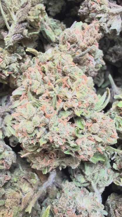 1 Pound - Gas Leak THCA Flower