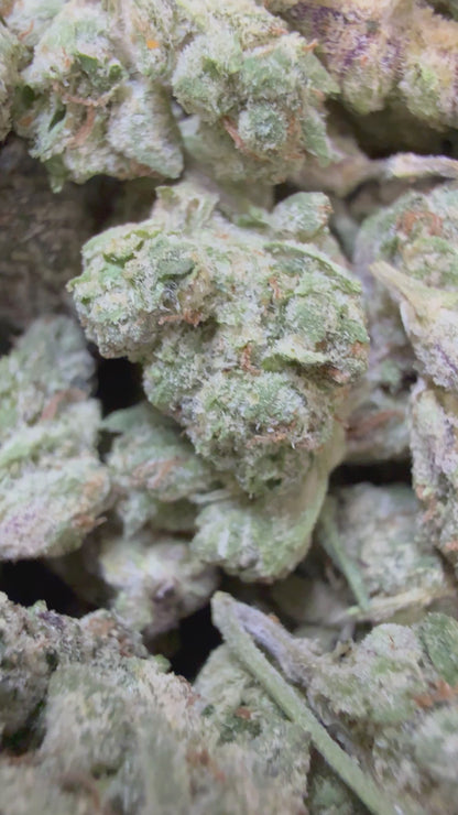 1 Pound - Gelato 33 S1 THCA Flower (Smalls)