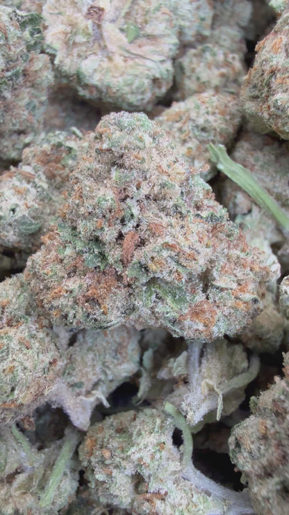 1 Pound - LEMON POPPERZ THCA Flower (SMALL)