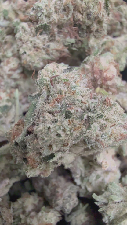 1 Pound - HEAVY METAL OG THCA Flower (SMALL)