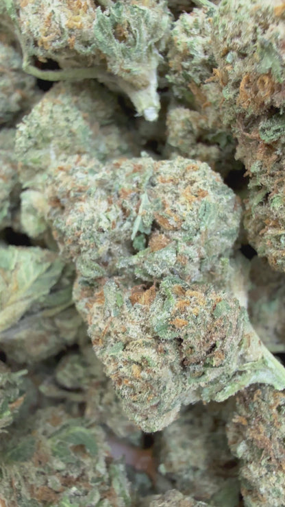 1 Pound - ILLEMONATI OG THCA Flower (BIG)