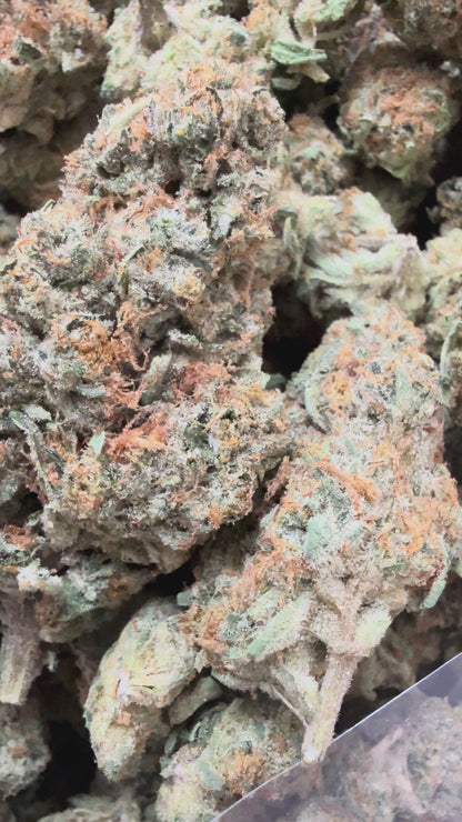 1 Pound - Golden Goat Daybreaker THCA Flower