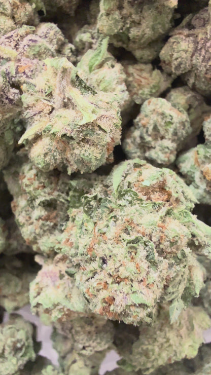 1 Pound - Larry Bird THCA Flower