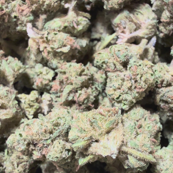 orange clementine og kush thca flower