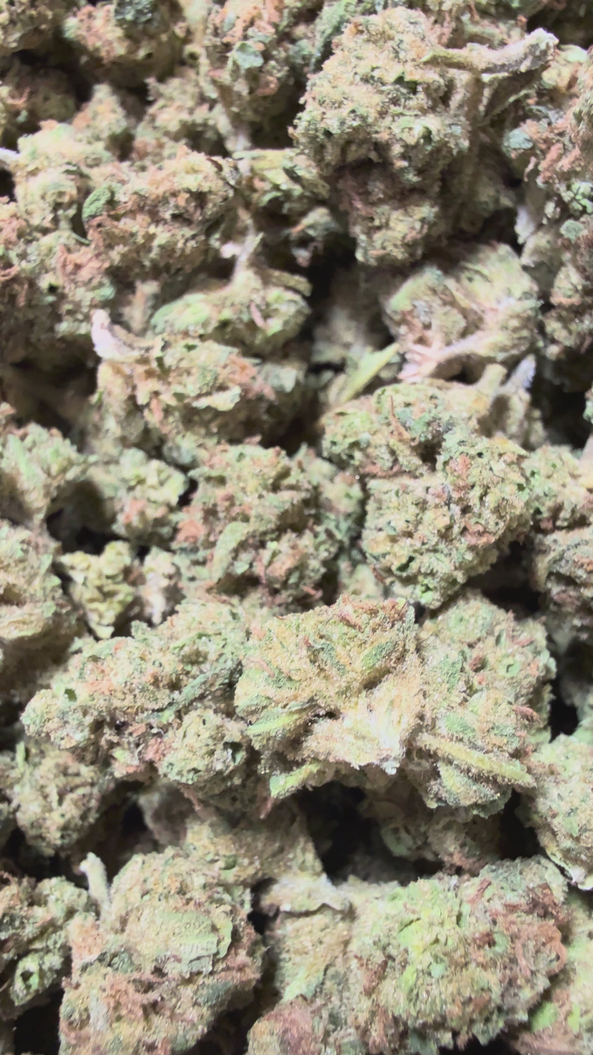 orange clementine og kush thca flower